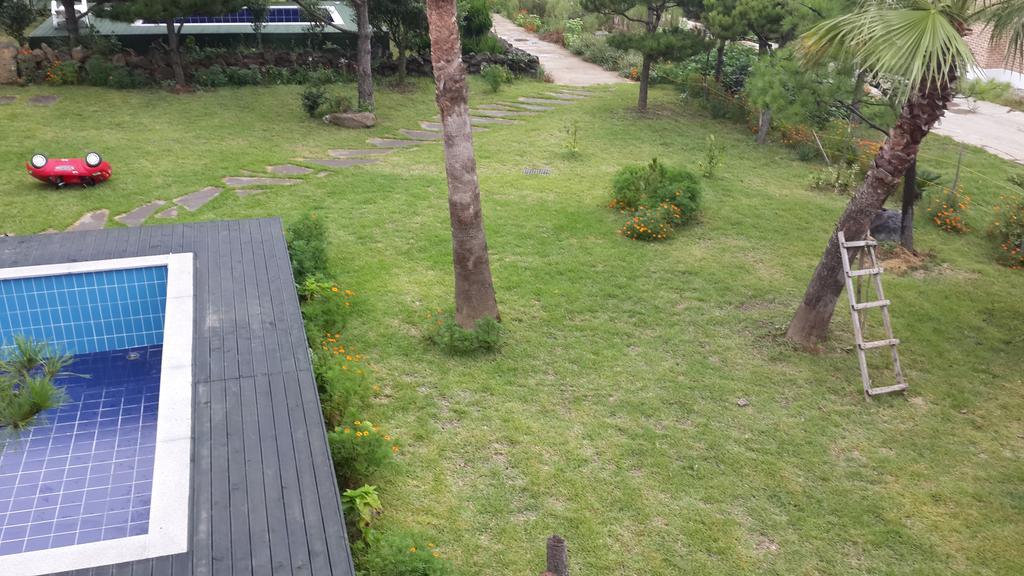 Jeju Olleh House Villa Buitenkant foto